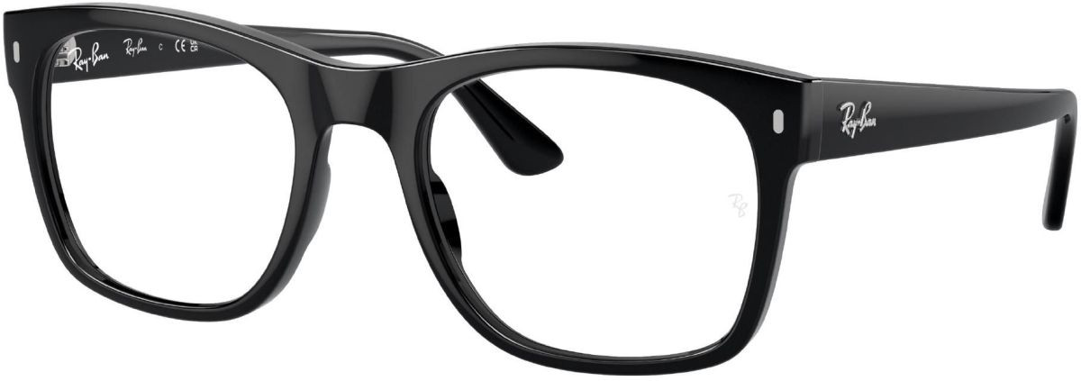 Купить Ray Ban Купить Ray Ban Ray-Ban 0RX7228 / 55 2000 в Курске в Курске