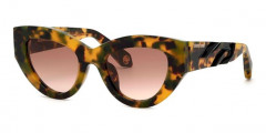 Солнцезащитные очки, ROBERTO CAVALLI  SRC009M  AGG